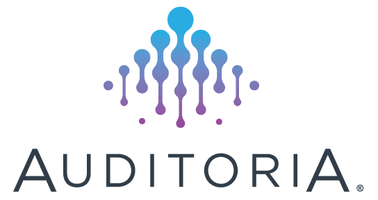 Auditoria.AI