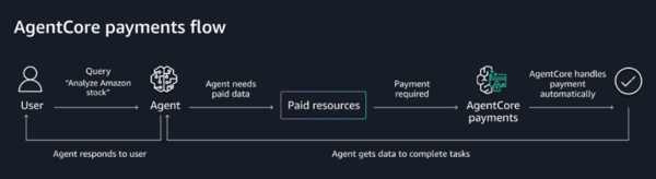 AgentCore payment flows