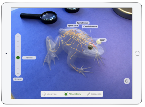 Media Name: rwang0-apple-arkit-froggipedia.png