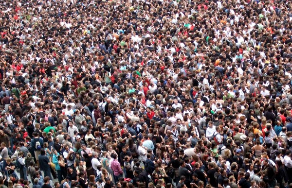 Media Name: rwang0-density.jpg