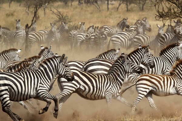 Media Name: shutterstock158521502.jpg